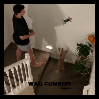 Theosos Wall Climbers™ - Play That Goes Beyond the Floor